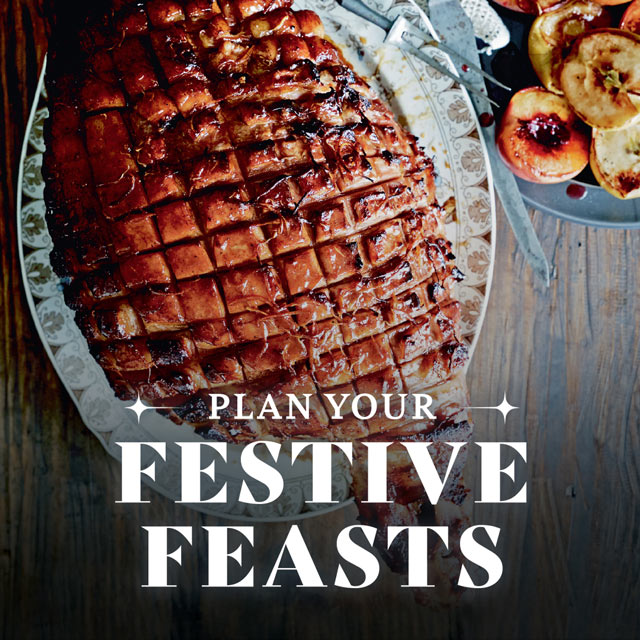 Plan your Festive Feasts