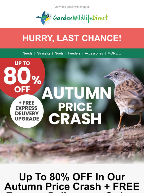 HURRY, LAST CHANCE! 🍂Up To 80% OFF In Our Autumn Price Crash + FREE Express Delivery!