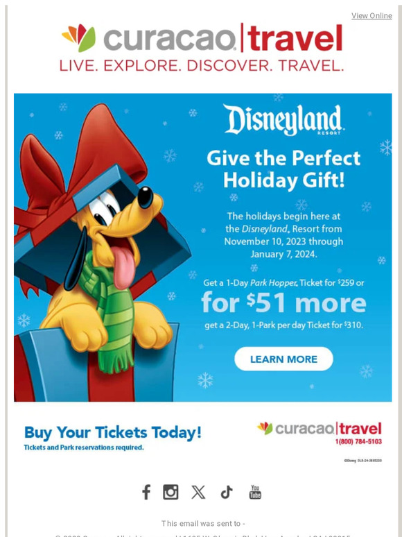 Disneyland® Resort is the Perfect Holiday Gift!