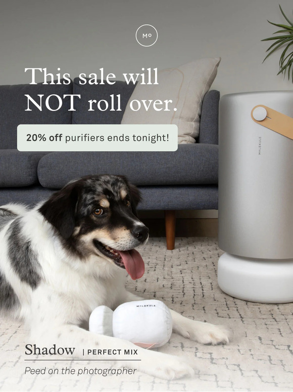 This sale is going…going…go–