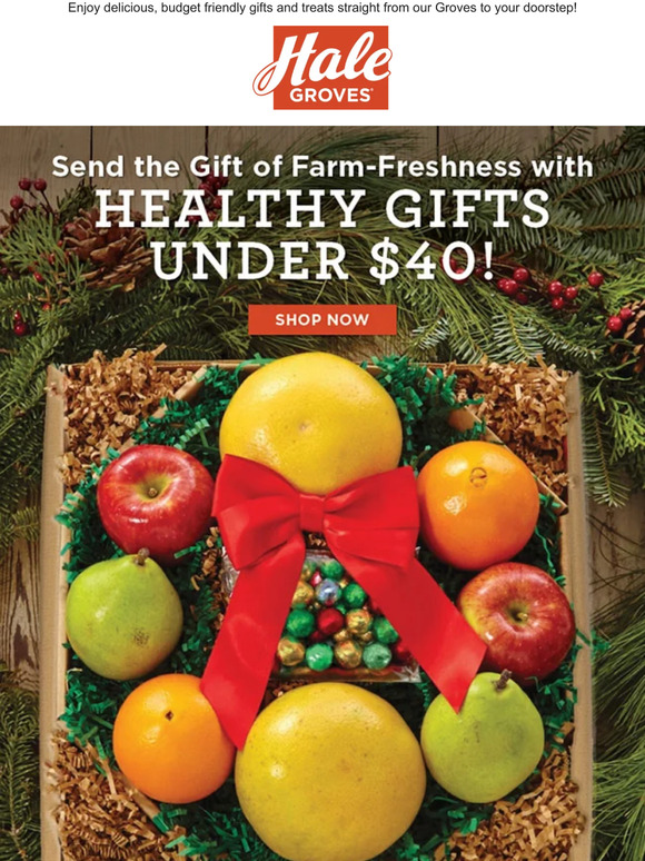 🎄 Send the Gift of Farm-Freshness with Healthy Gifts under $40! 🎁
