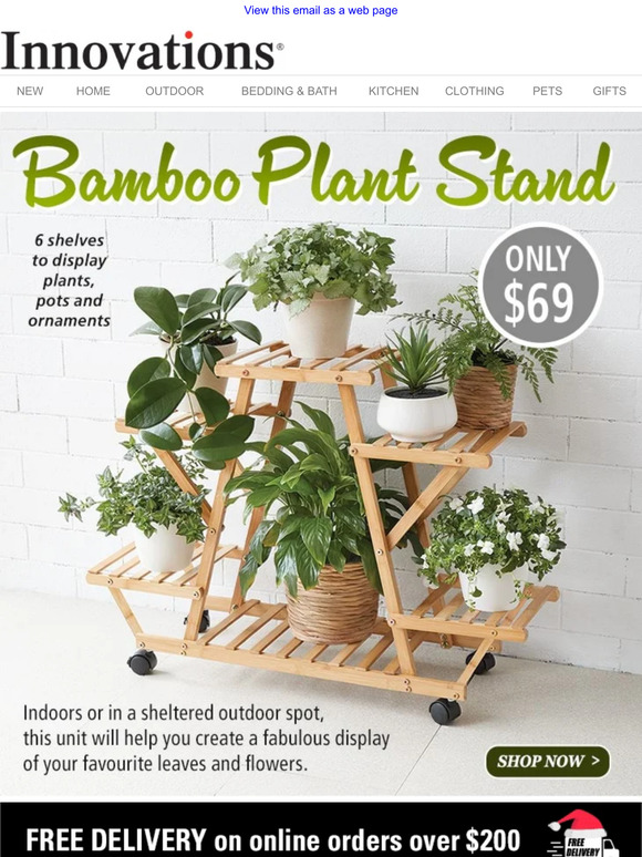 NEW Arrival: Bamboo Plant Stand - Create a stunning, living display!