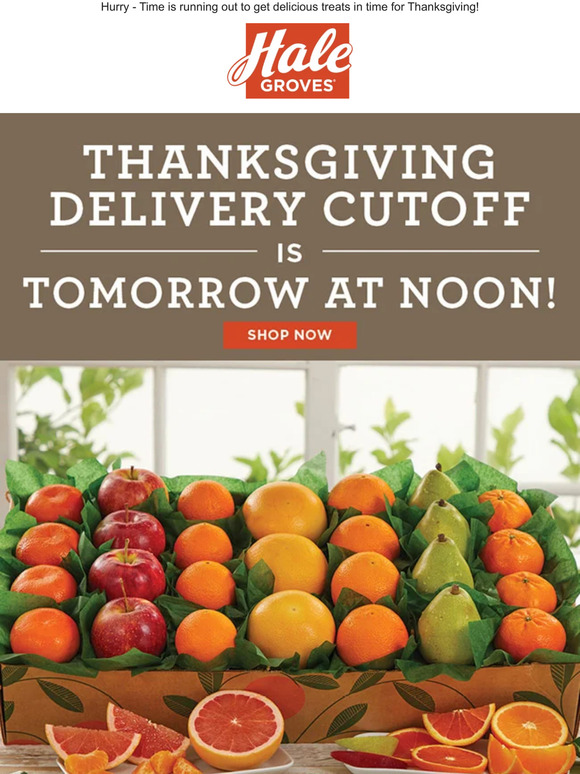 WARNING - Our Thanksgiving Delivery Cutoff is Tomorrow at Noon!