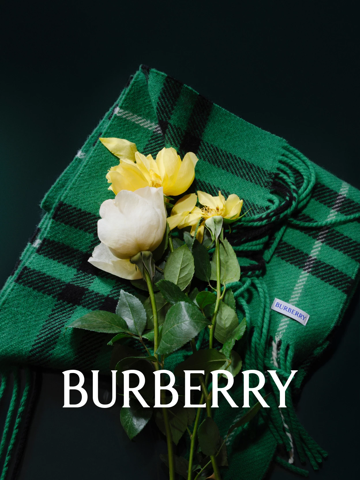 Burberry 444 madison avenue rose hotsell