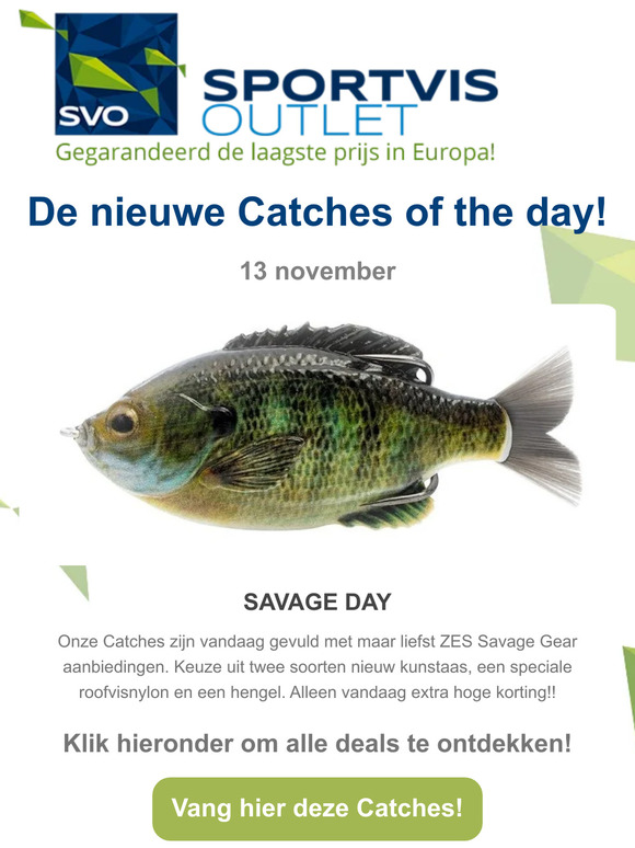 𝐂𝐚𝐭𝐜𝐡𝐞𝐬 𝐨𝐟 𝐭𝐡𝐞 𝐃𝐚𝐲🎣