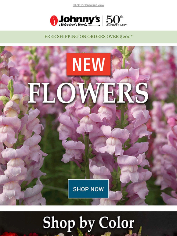 New Flowers for 2024