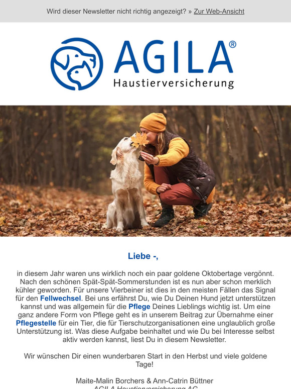 ➔ Gib einem Pflegehund ein neues Zuhause - Wir zeigen wie!✔