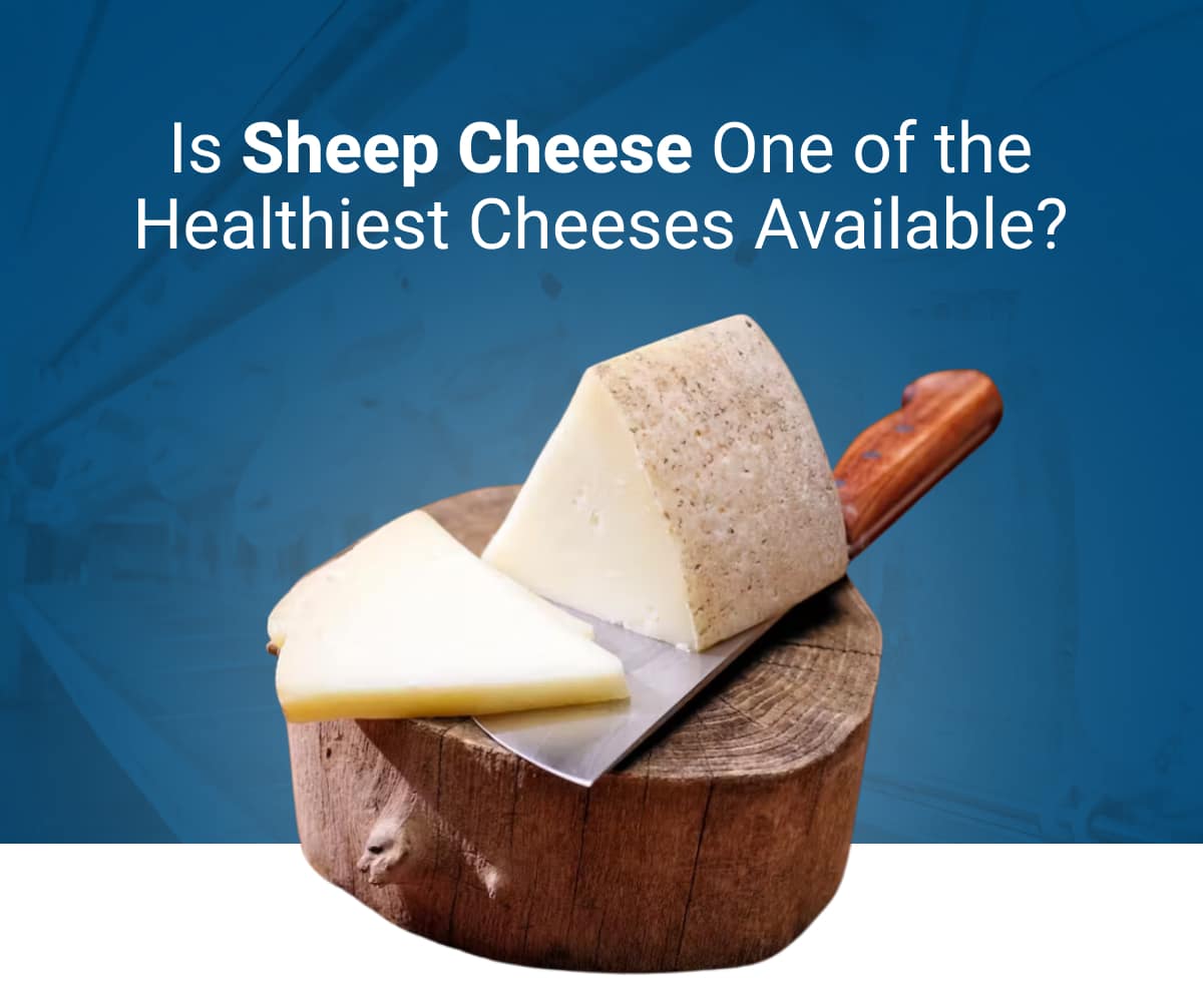 Dr Berg What is the Healthiest Cheese?🧀 Milled