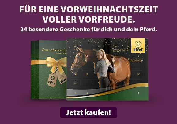 Effol Adventskalender mit 24 besonderen Geschenken für dich und dein Pferd. 