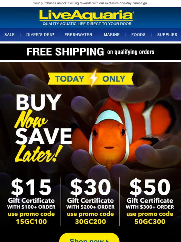 , Are you ready to elevate your shopping experience