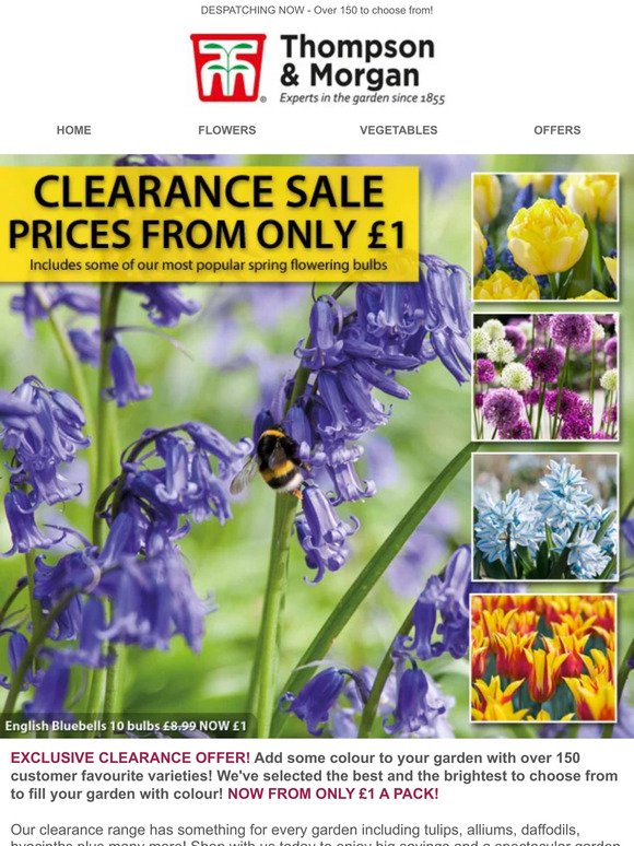 CLEARANCE SALE – Prices From Just £1