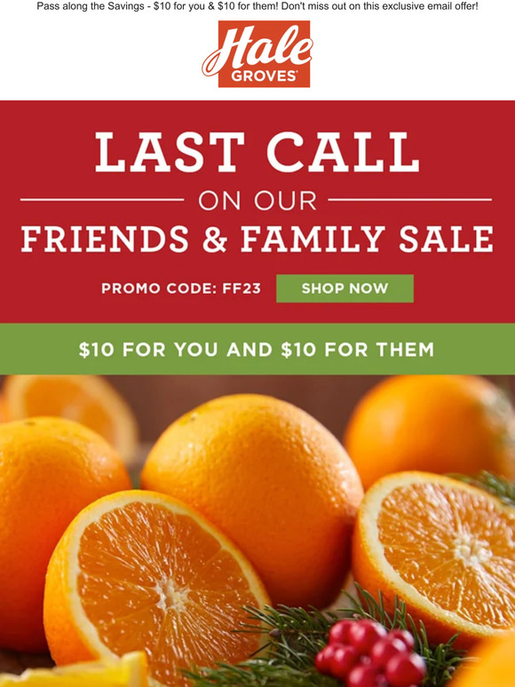 🍊 Last Call for our Friends & Family Sale - Email Exclusive! 🍊