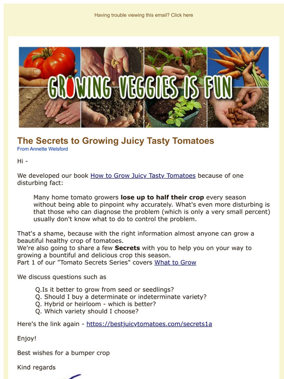 The Secrets to Growing Juicy Tasty Tomatoes  —