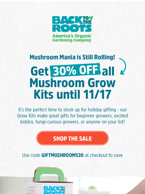 Give the Gift of Fungi This Holiday Season! 🍄