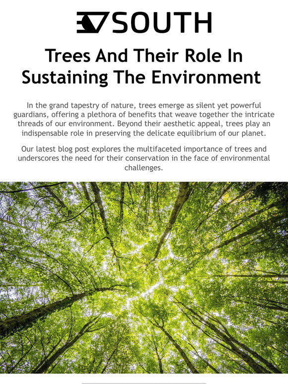 30 South: Trees And Their Role In Sustaining The Environment 🌲 | Milled