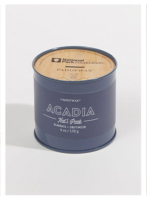The Acadia Seagrass + Driftwood Candle