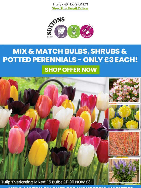 Suttons Seeds ONLY £3! Mix & Match Shrubs, Perennials & Bulbs Milled