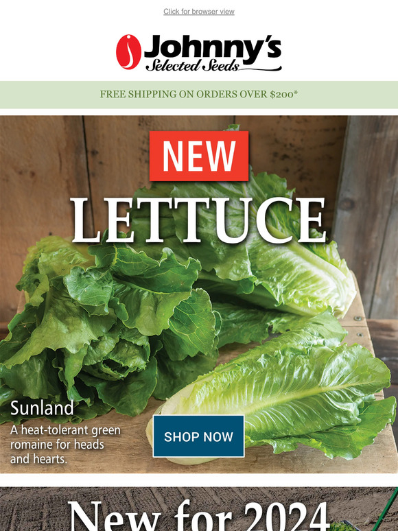 See What's New In Lettuce