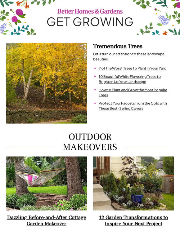 Better Homes and Gardens 7 of the Worst Trees to Plant in Your Yard