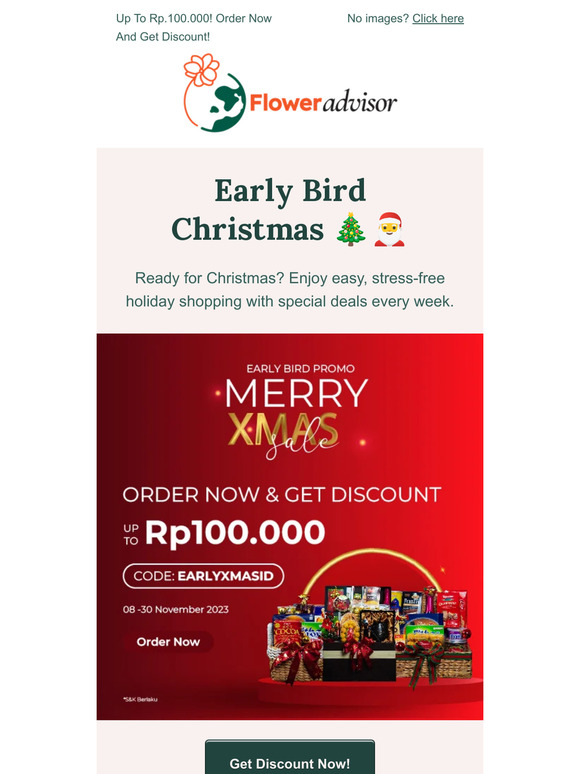 Get Ahead With Our Early Bird Christmas Specials🎅🎄