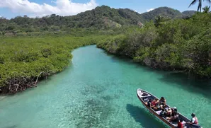 Trip Isla Mamey