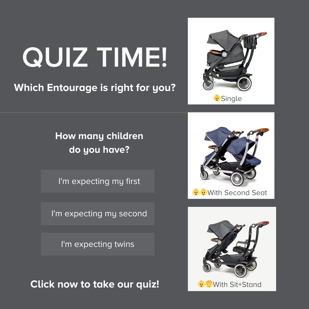 The Entourage Stroller Austlen Entourage Stroller Silver Navy