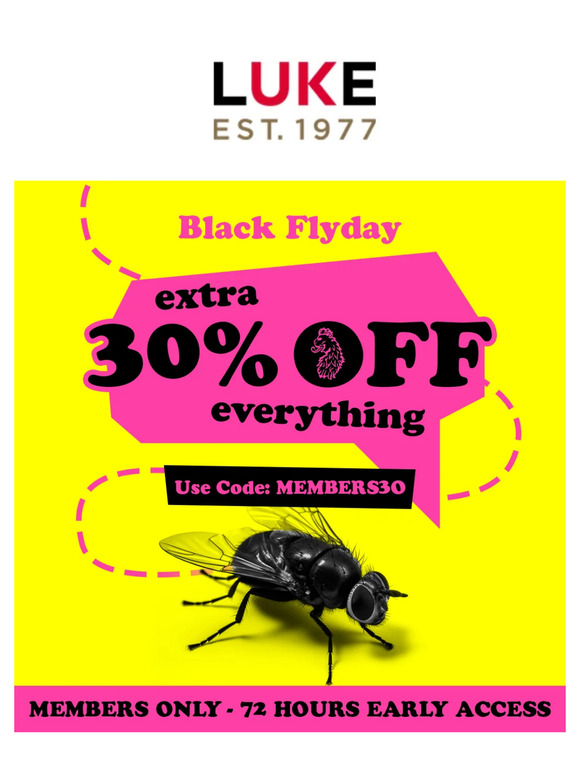30% OFF EVERYTHING 🚨