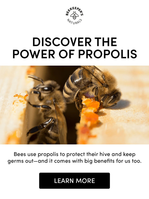Why We’re Obsessed with Propolis 🐝