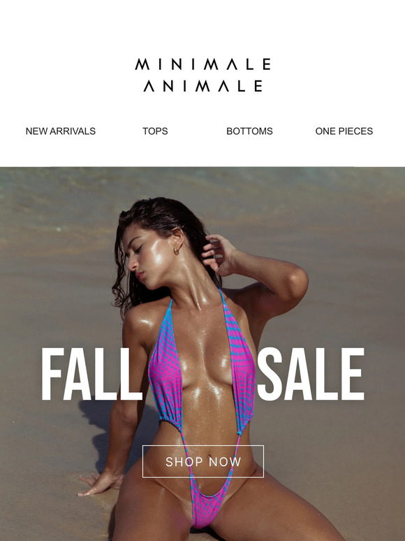 Top Picks Back in Stock - Now at 50% Off