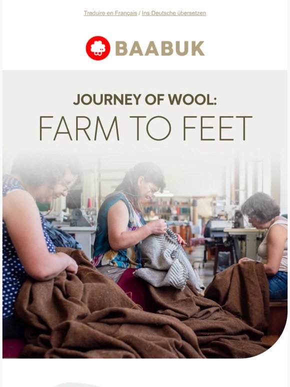 Ever wondered about wool's journey?