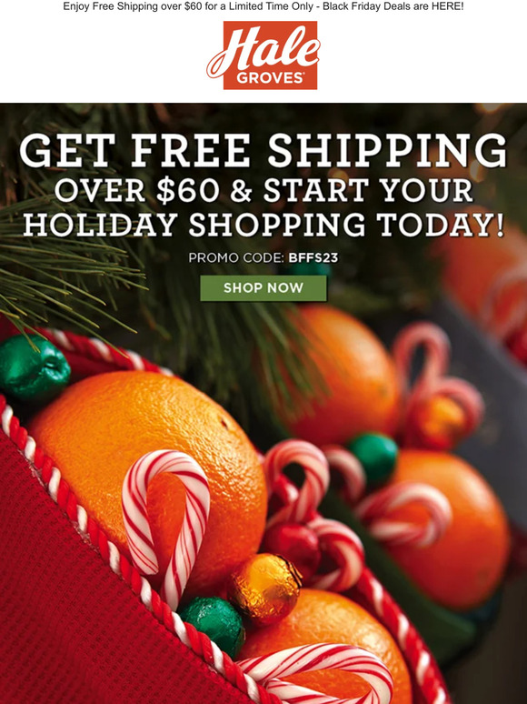 🎄 Get FREE Shipping over $60 & Start Your Holiday Shopping Today! 🎁