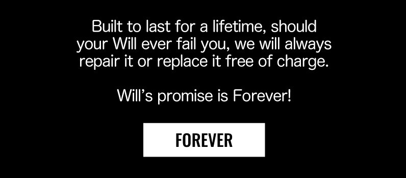 Will's Promise