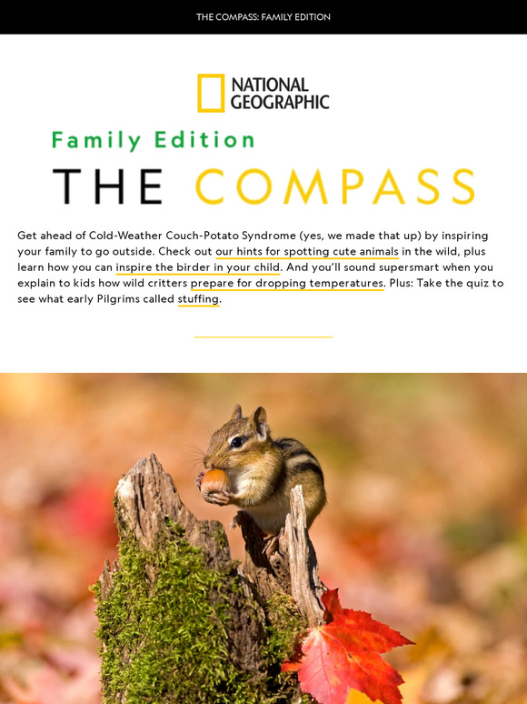 Bird-watching with kids, cozy crafts and recipes, and other fall family fun