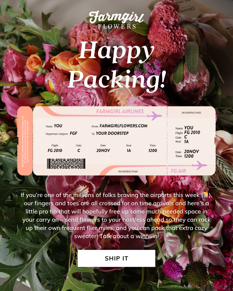 If you’re one of the millions of folks braving the airports this week (🙋‍♀️), our fingers and toes are all crossed for on time arrivals and here’s a little pro tip that will  hopefully free up some much needed space in your carry on – send flowers to your host/ess ahead so they can rack up their own frequent flier miles, and you can pack that extra cozy sweater! Talk about a win/win!