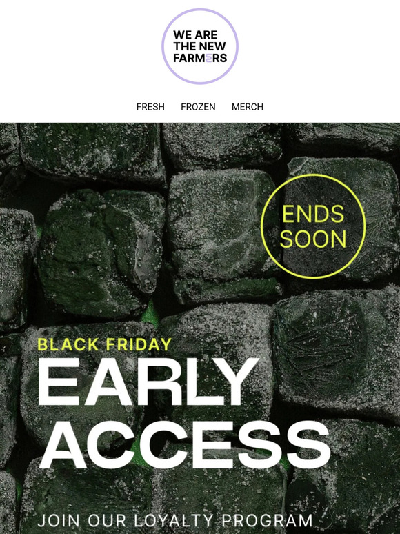 LAST CHANCE: Black Friday Early Access