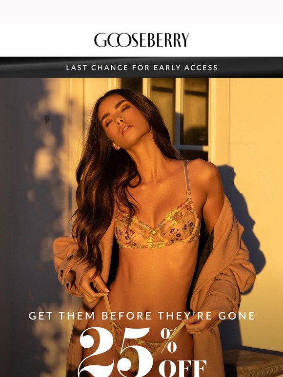 This is your last chance. Better run don't walk - Fine Lines Lingerie