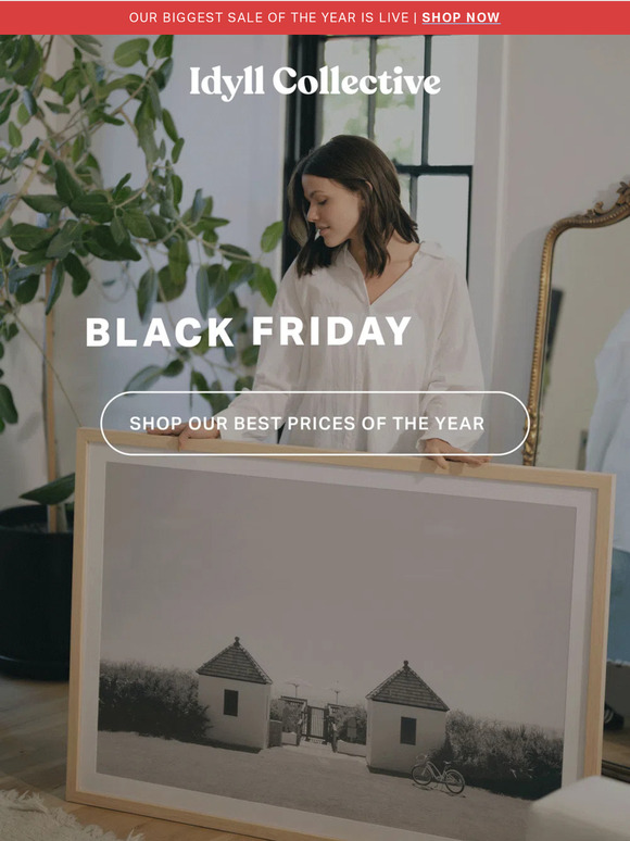 ICYMI: 20% Off All Artwork