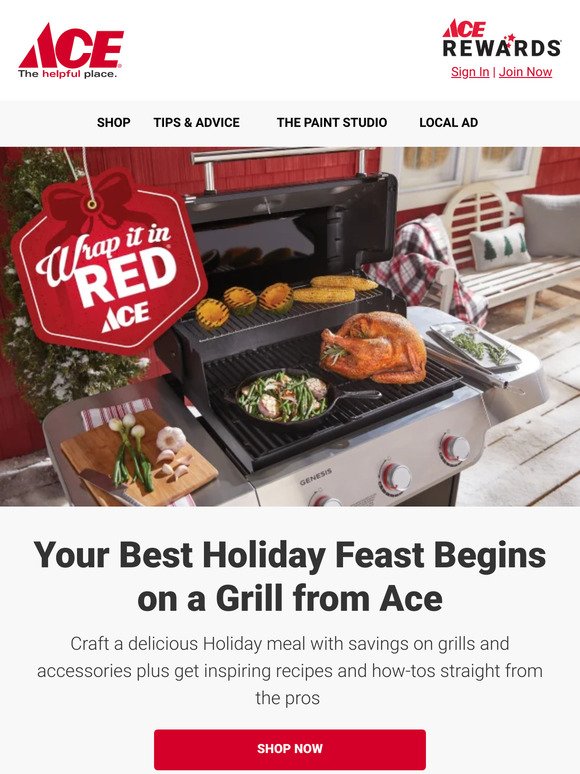 🔥 Ignite Holiday Cooking with Ace this Season