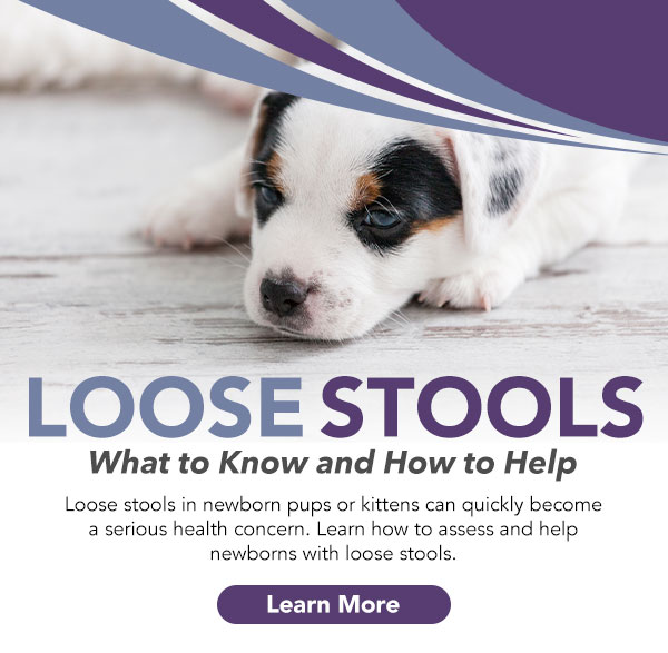 Revival Animal Health: Newborn Loose Stools: What to Know and Do | Milled