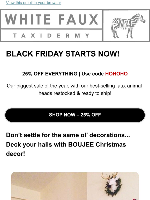 25% OFF ⛄ Black Friday Sale ON NOW!