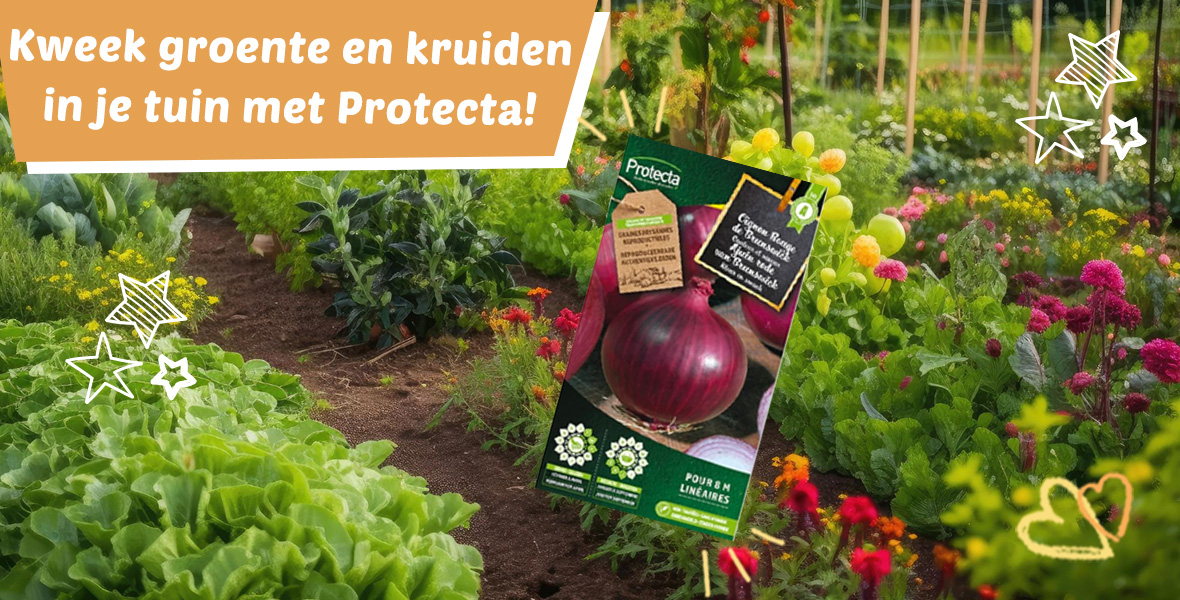 Protecta zaden