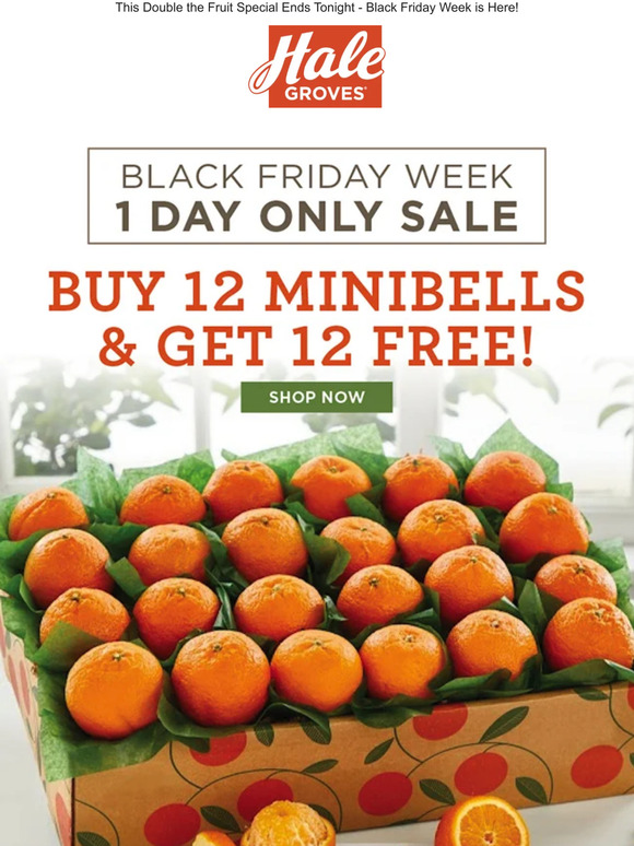 🍊1 Day Only Sale - Buy 12 Minibells & Get 12 FREE! 🍊