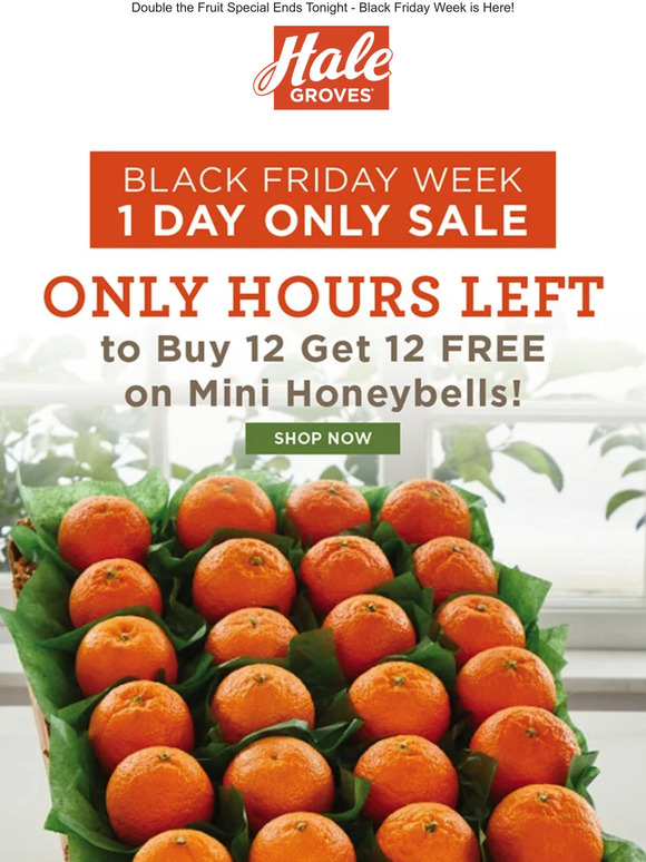 🍊 Only Hours Left to Buy 12 Get 12 FREE on Mini Honeybells! 🍊