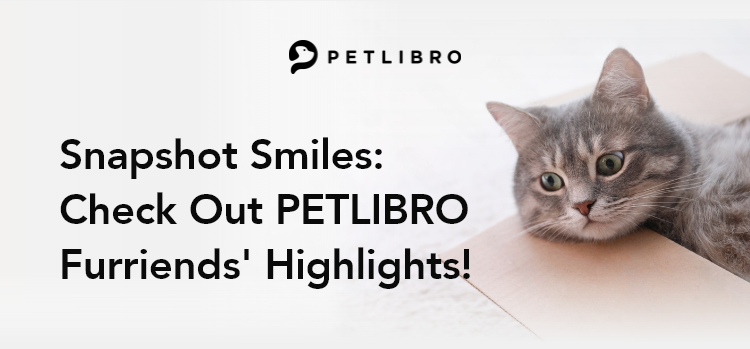 Snapshot Smiles:  Check Out PETLIBRO Furriends' Highlights!