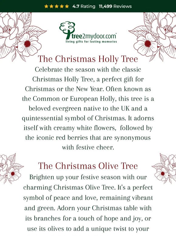 3 Exceptional Trees🎄
