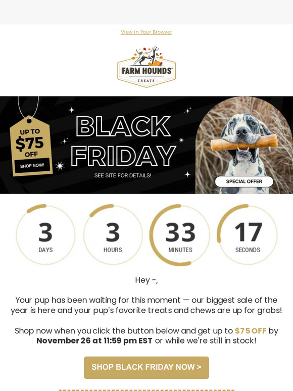 Are your pup's favorites still available —?