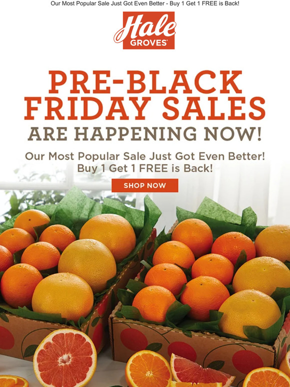⬛ Pre-Black Friday Sales are Happening Now! ⬛