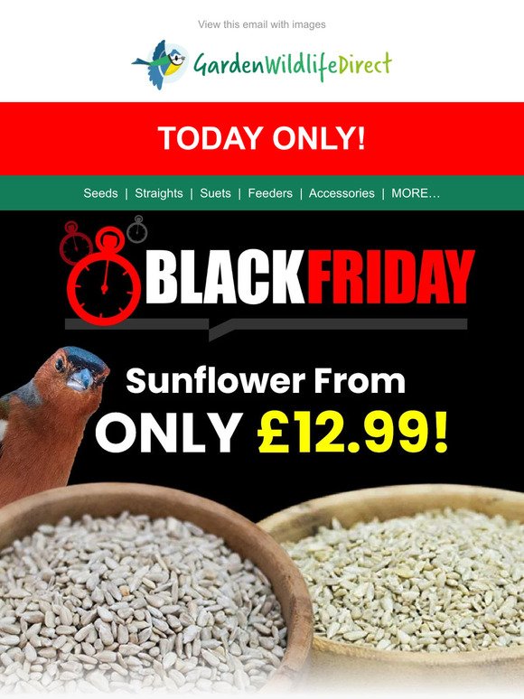 VIP OFFER!🌻Sunflower From ONLY £12.99!! BLACK FRIDAY DEAL - Selling Fast!