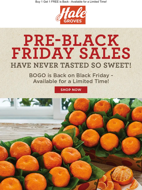 Pre-Black Friday Sales Have Never Tasted So Sweet!