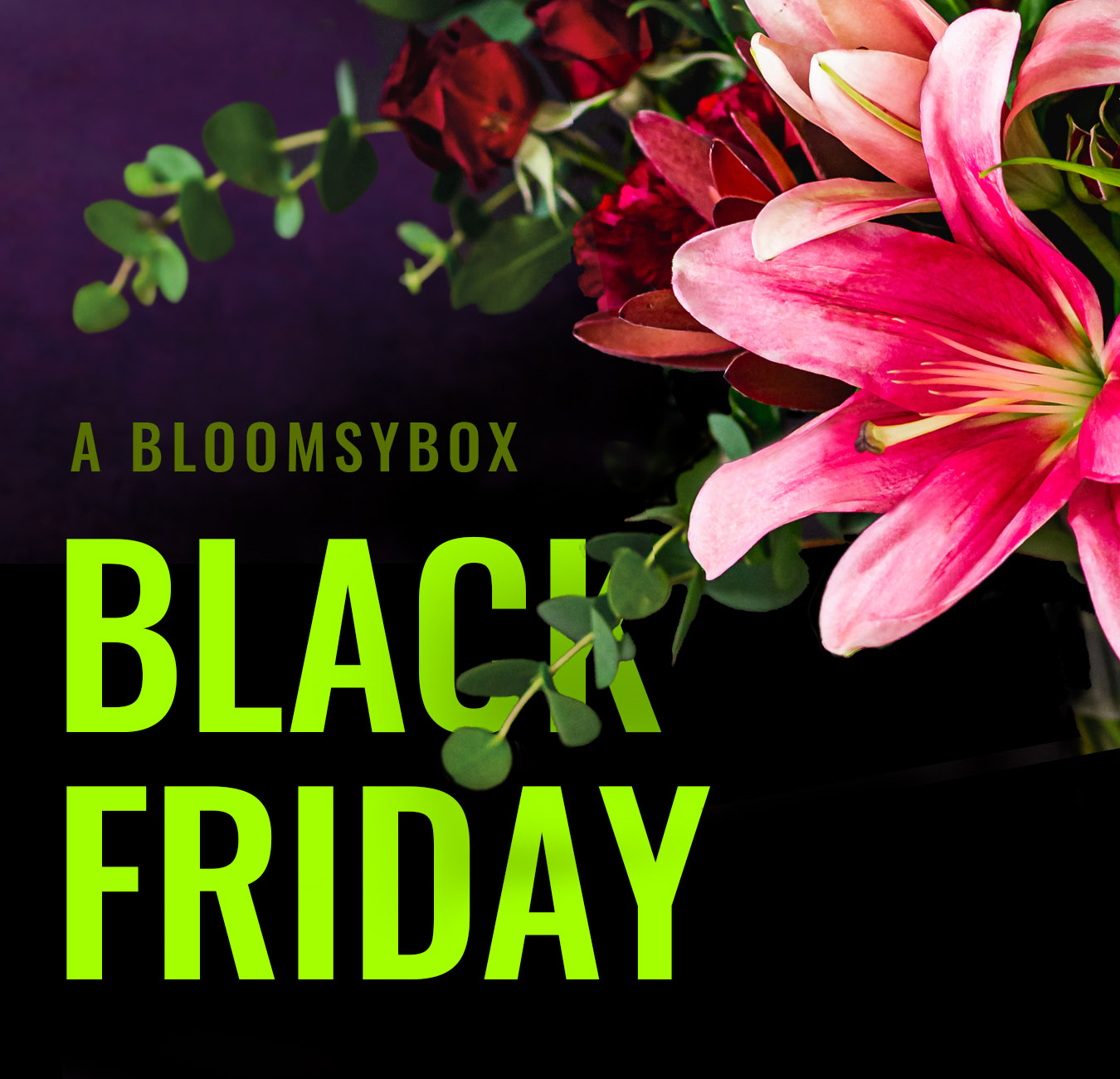 Bloomsy Box The best blooms at the best deals? Milled